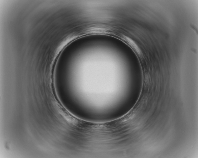 X0000095881435200801111123