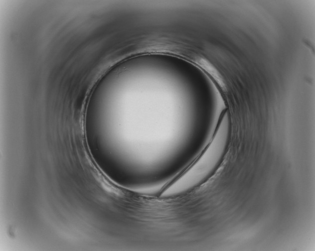 X0000095881436200801111123