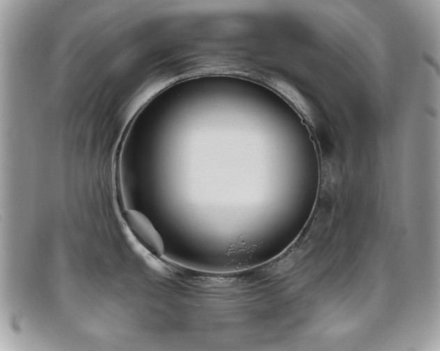 X0000095881439200801111123