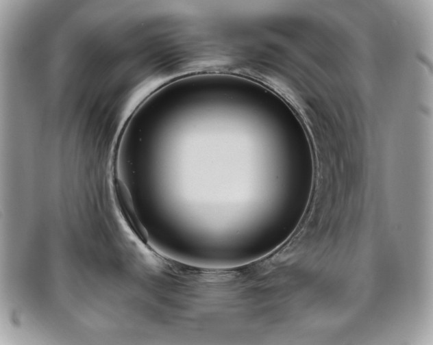 X0000095881440200801111123