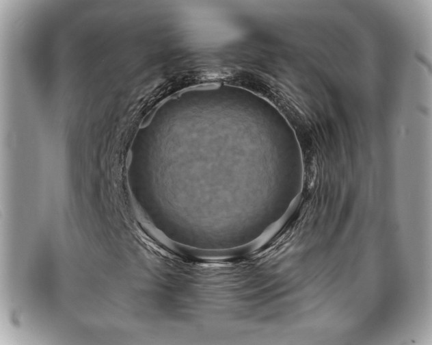 X0000095881441200801111123