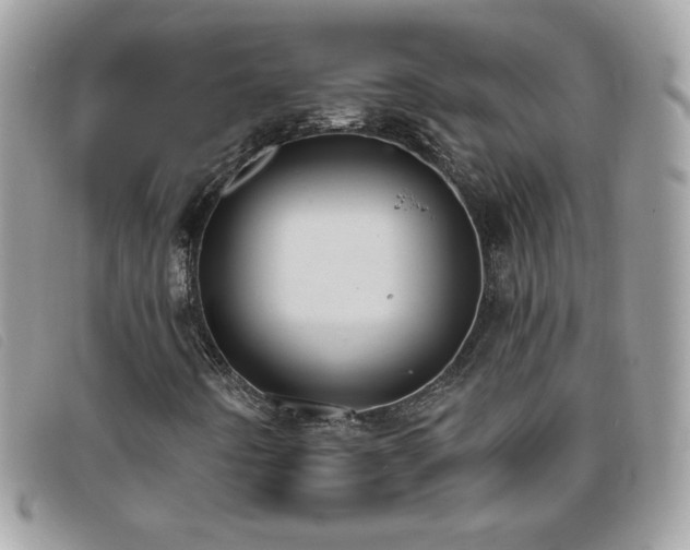 X0000095881442200801111123