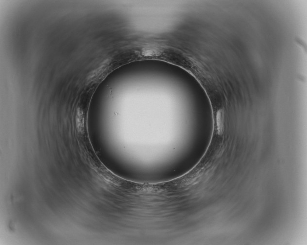 X0000095881443200801111123