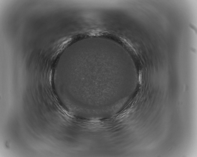 X0000095881444200801111123