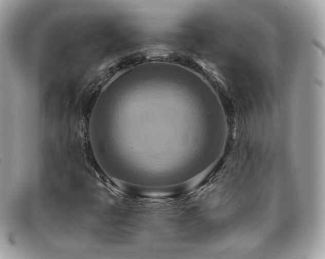 X0000095881445200801111123