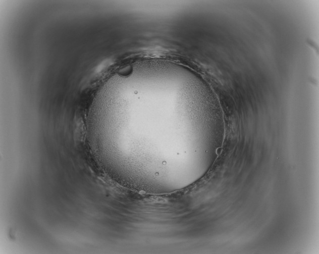 X0000095881446200801111123