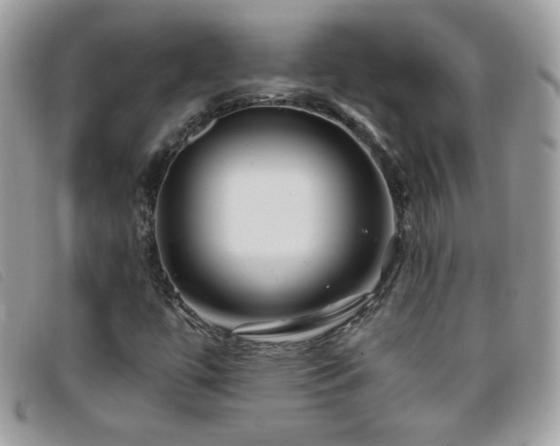 X0000095881447200801111123
