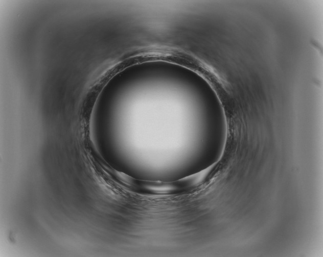 X0000095881448200801111123