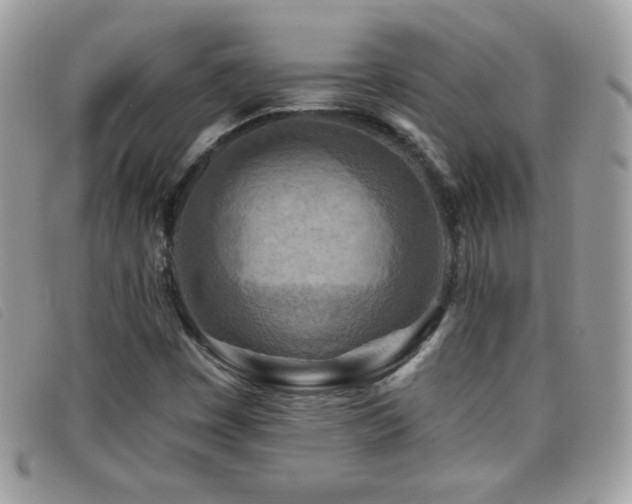 X0000095881449200801111123