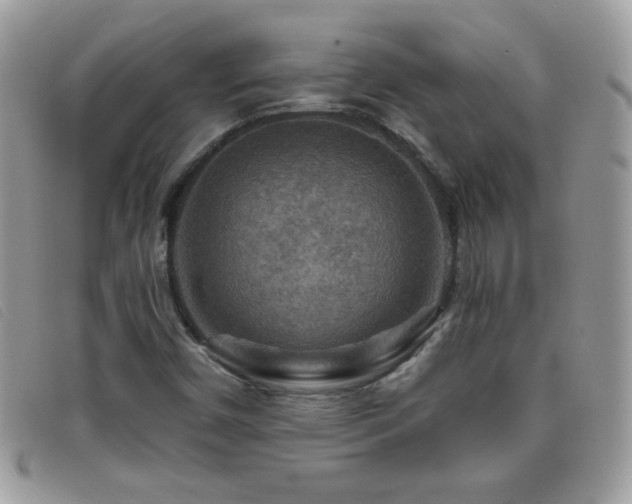 X0000095881450200801111123
