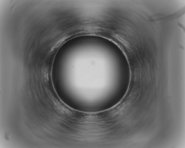 X0000095881451200801111123