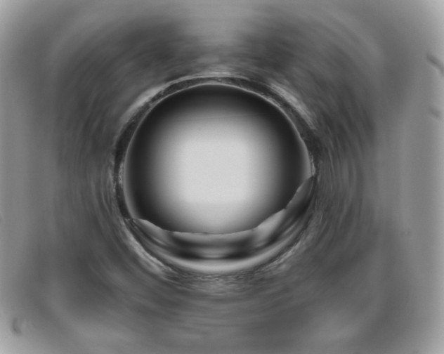 X0000095881452200801111123