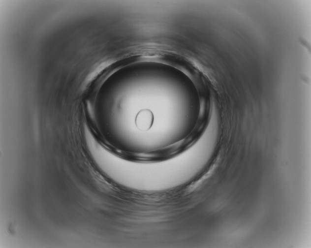 X0000095881453200801111123