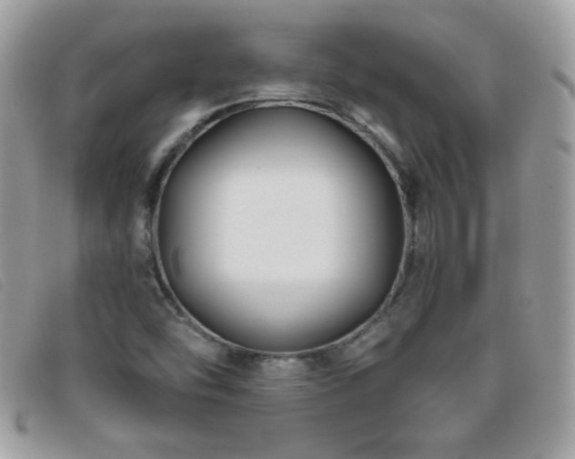 X0000095881454200801111123