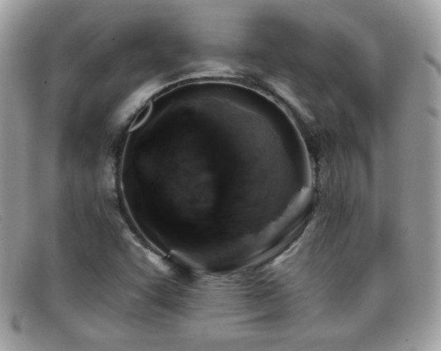 X0000095881455200801111123