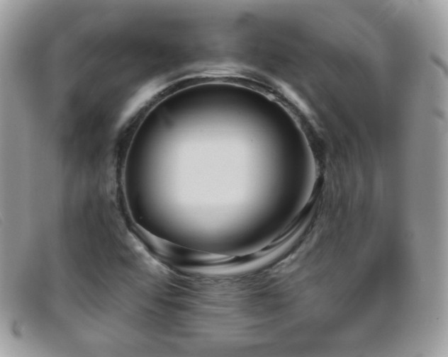 X0000095881456200801111123