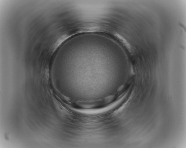 X0000095881457200801111123