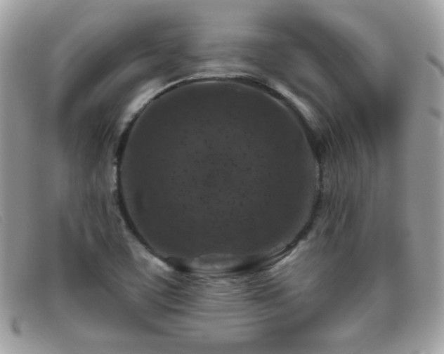 X0000095881459200801111123