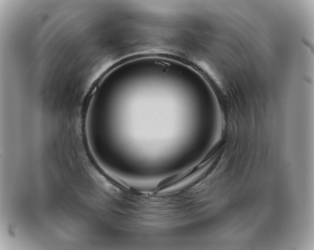 X0000095881460200801111123
