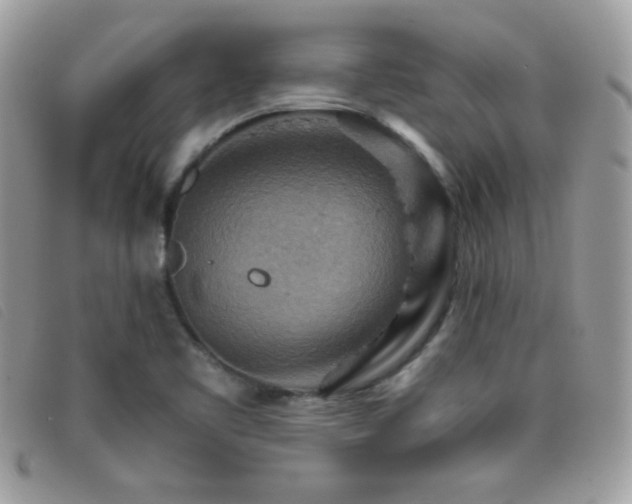 X0000095881461200801111123
