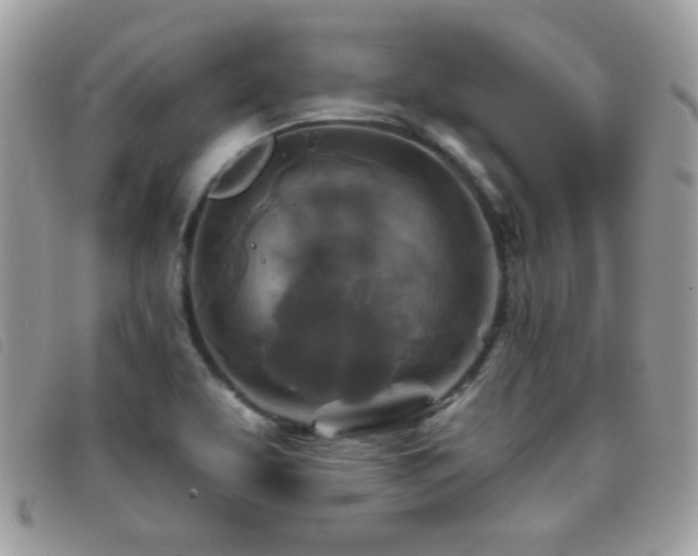 X0000095881463200801111123