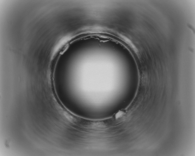 X0000095881464200801111122