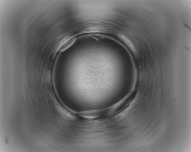 X0000095881465200801111122