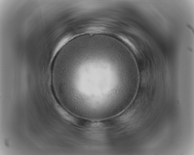 X0000095881467200801111122