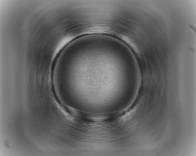X0000095881469200801111122