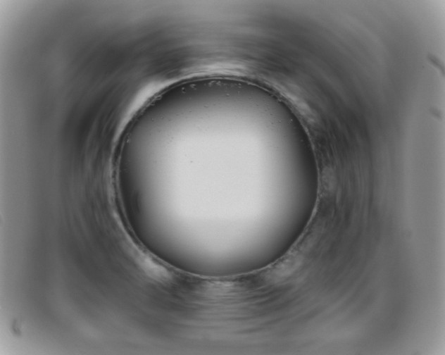 X0000095881470200801111122