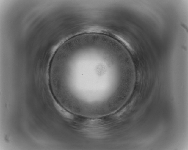 X0000095881471200801111122