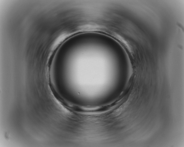 X0000095881472200801111122