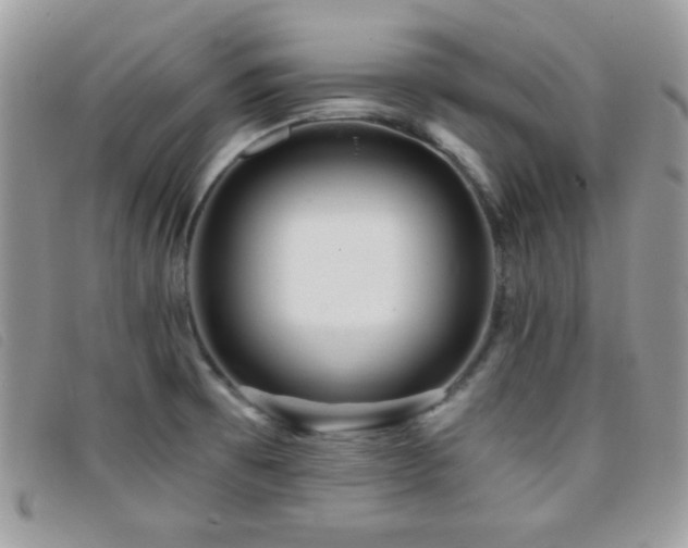 X0000095881473200801111122
