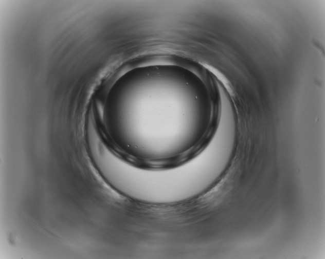X0000095881477200801111122
