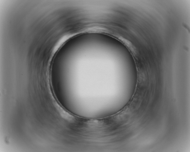 X0000095881478200801111122