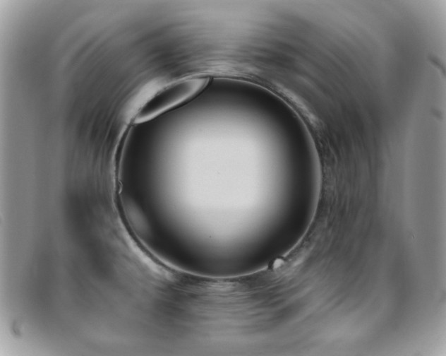 X0000095881479200801111122
