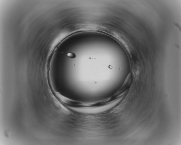 X0000095881480200801111122