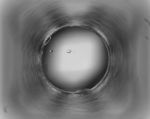 X0000095881481200801111122
