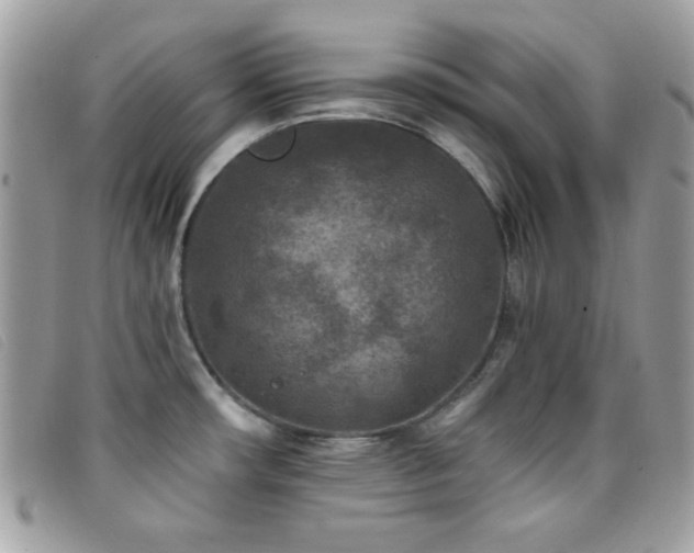 X0000095881482200801111122