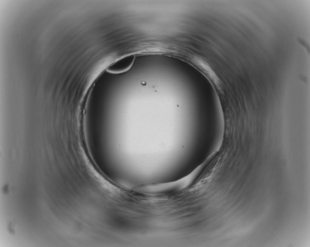 X0000095881483200801111122