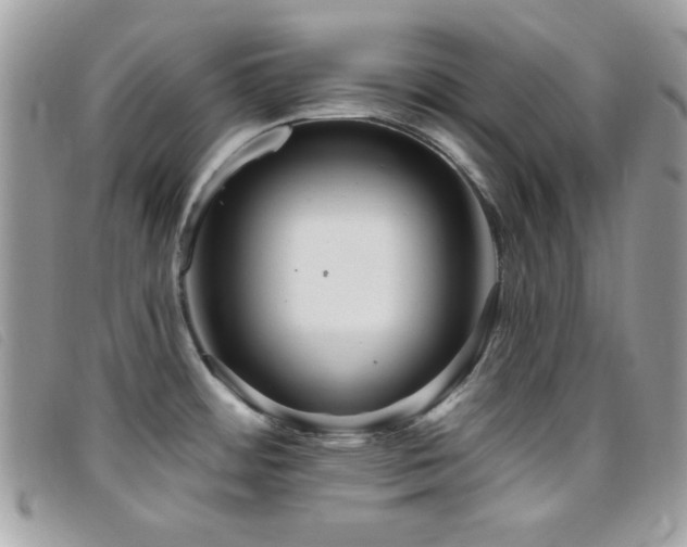 X0000095881484200801111122