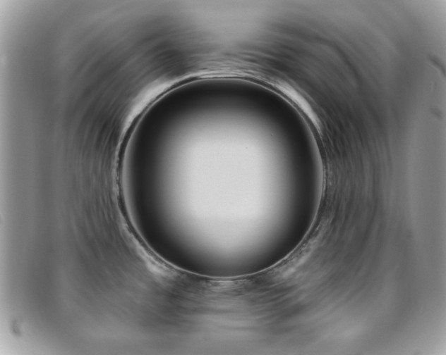 X0000095881485200801111122