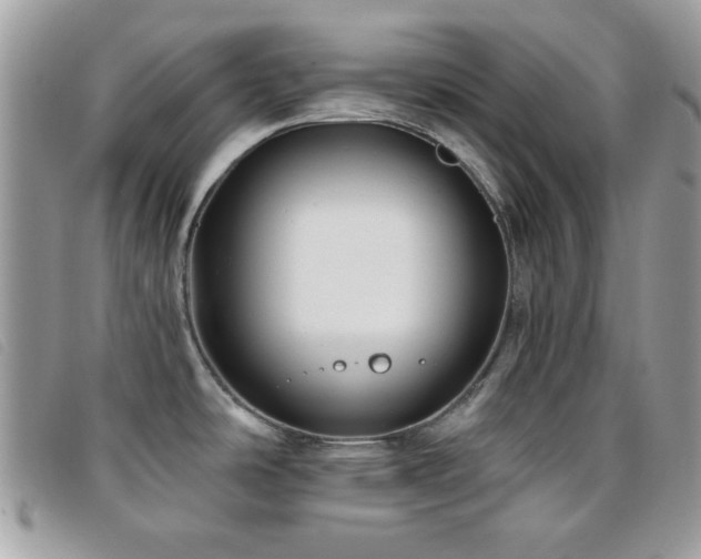 X0000095881486200801111122