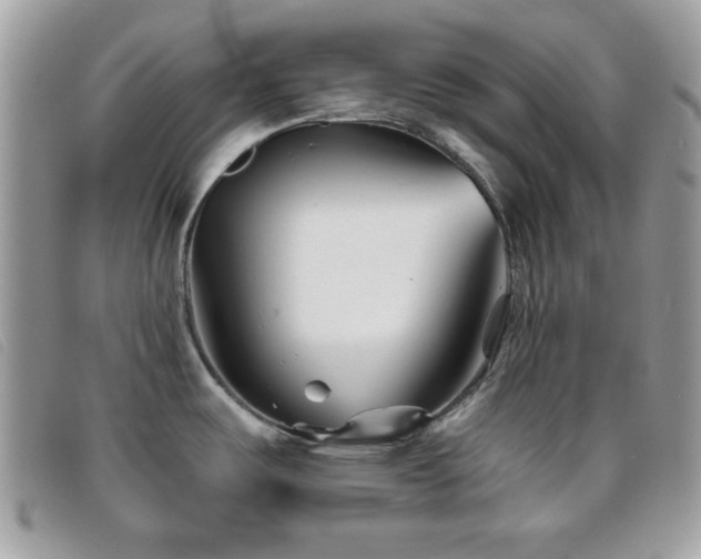 X0000095881487200801111122