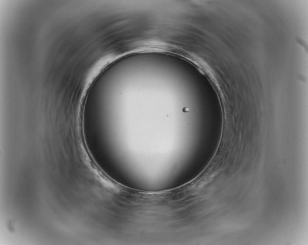 X0000095881488200801111122