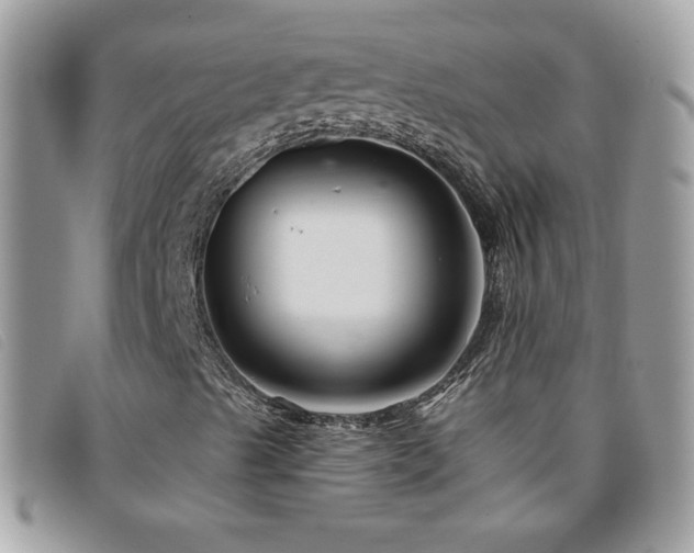 X0000095881489200801111122