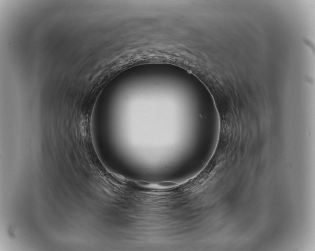 X0000095881490200801111122