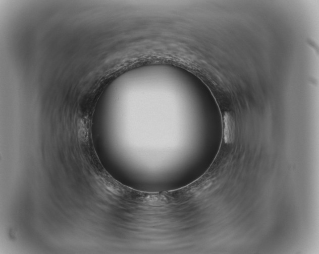 X0000095881491200801111122