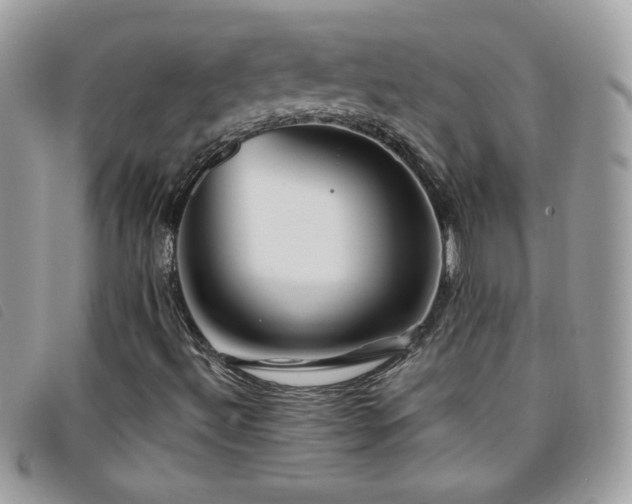 X0000095881492200801111122