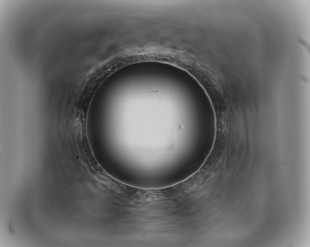 X0000095881493200801111122